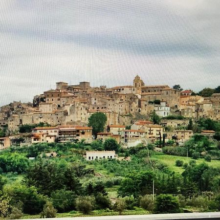 Castiglione Apartament You&Me Διαμέρισμα Castiglione In Teverina Εξωτερικό φωτογραφία